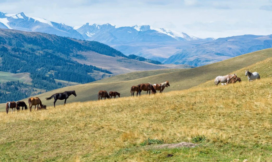 Ile-Alatau National Park, Near Almaty, Kazakhstan